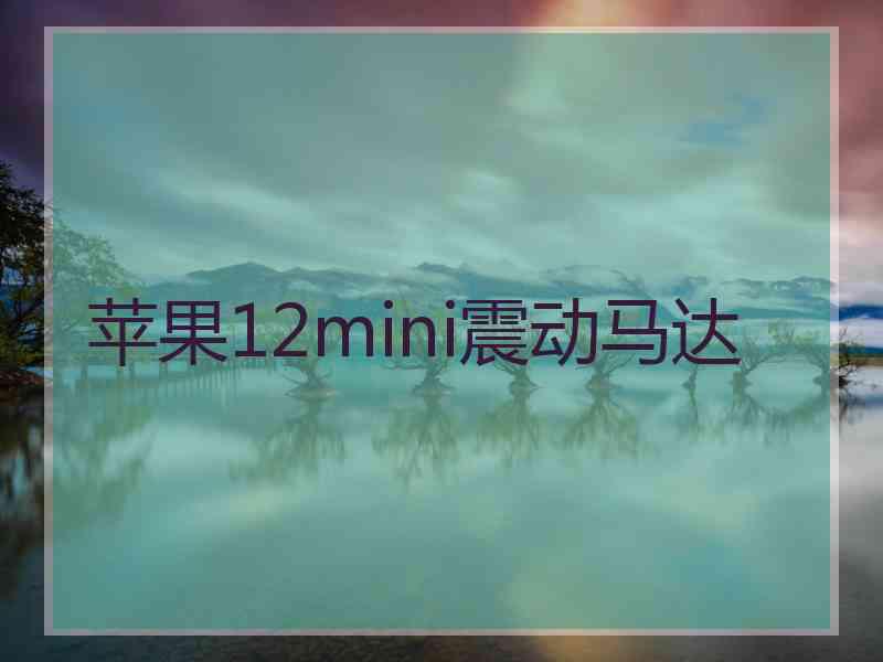 苹果12mini震动马达