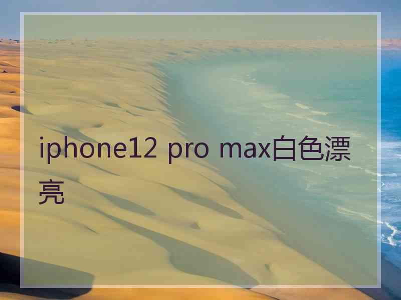 iphone12 pro max白色漂亮