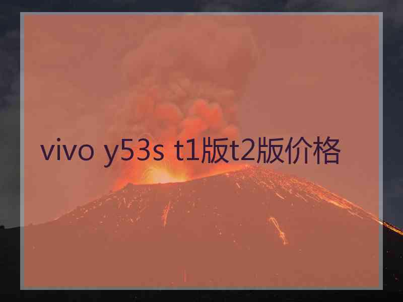 vivo y53s t1版t2版价格