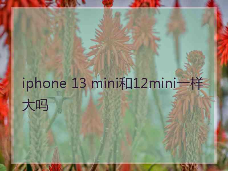 iphone 13 mini和12mini一样大吗