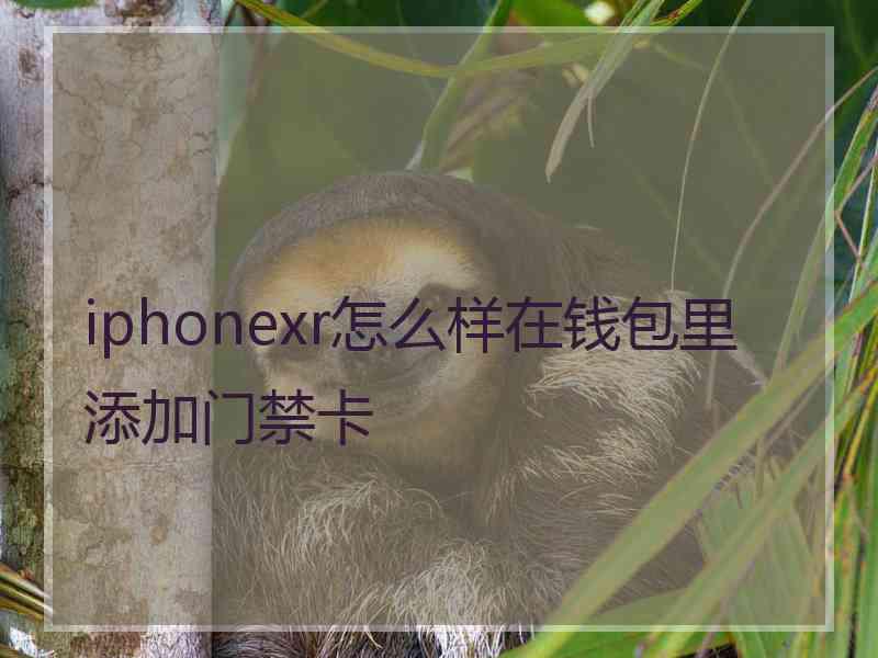 iphonexr怎么样在钱包里添加门禁卡