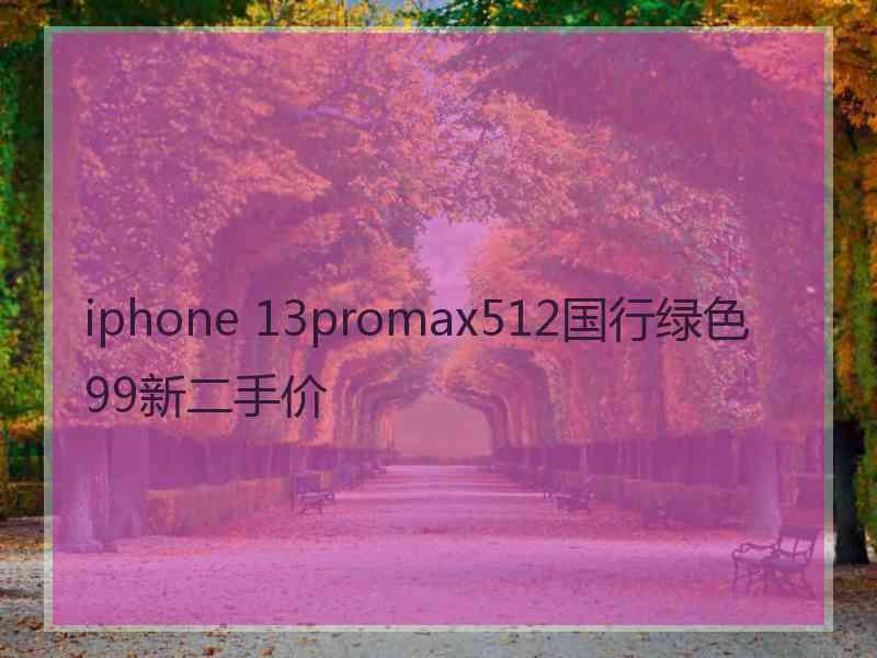 iphone 13promax512国行绿色99新二手价