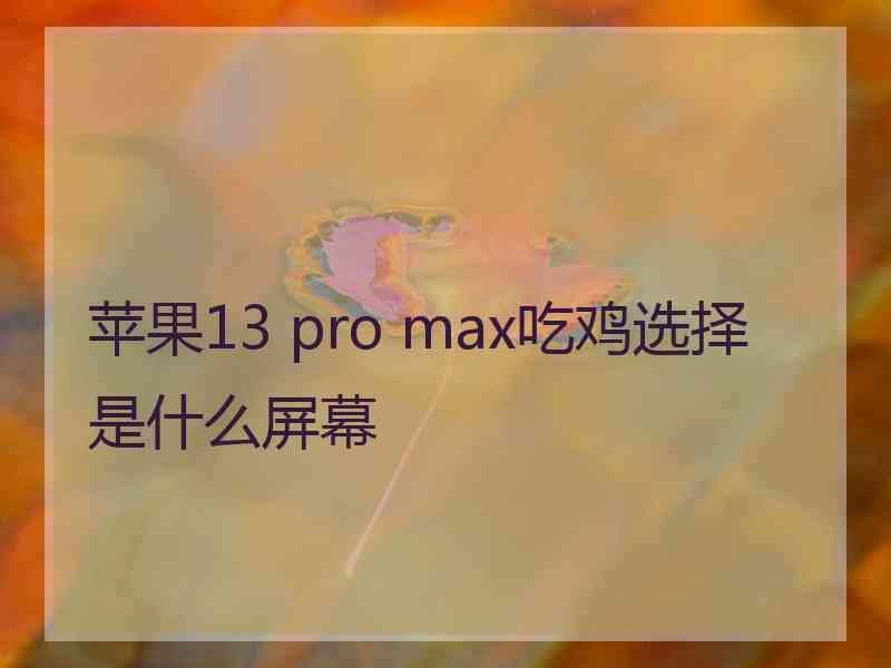 苹果13 pro max吃鸡选择是什么屏幕