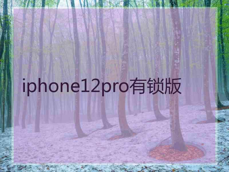 iphone12pro有锁版