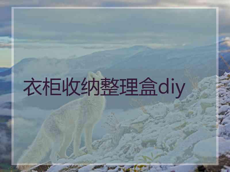 衣柜收纳整理盒diy