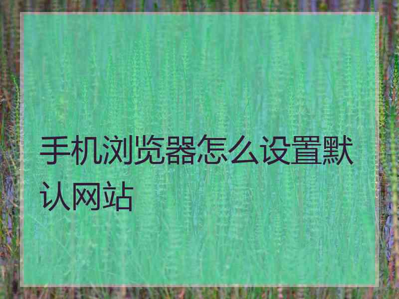 手机浏览器怎么设置默认网站