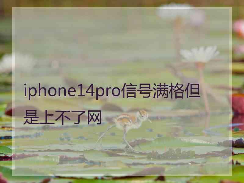 iphone14pro信号满格但是上不了网