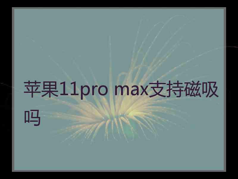 苹果11pro max支持磁吸吗