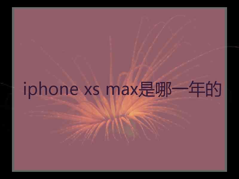 iphone xs max是哪一年的