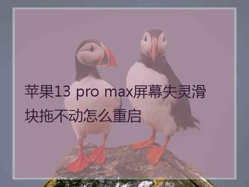 苹果13 pro max屏幕失灵滑块拖不动怎么重启