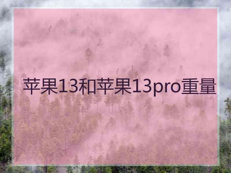 苹果13和苹果13pro重量