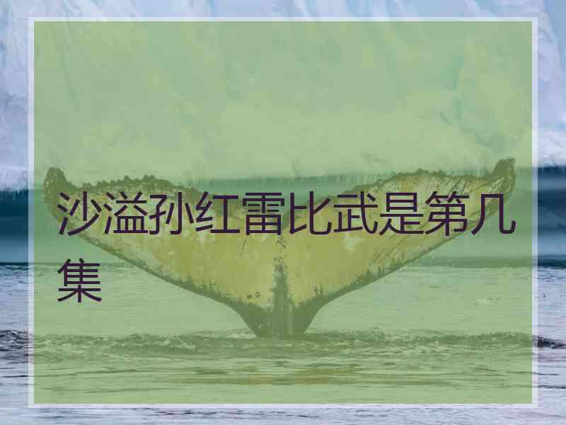 沙溢孙红雷比武是第几集