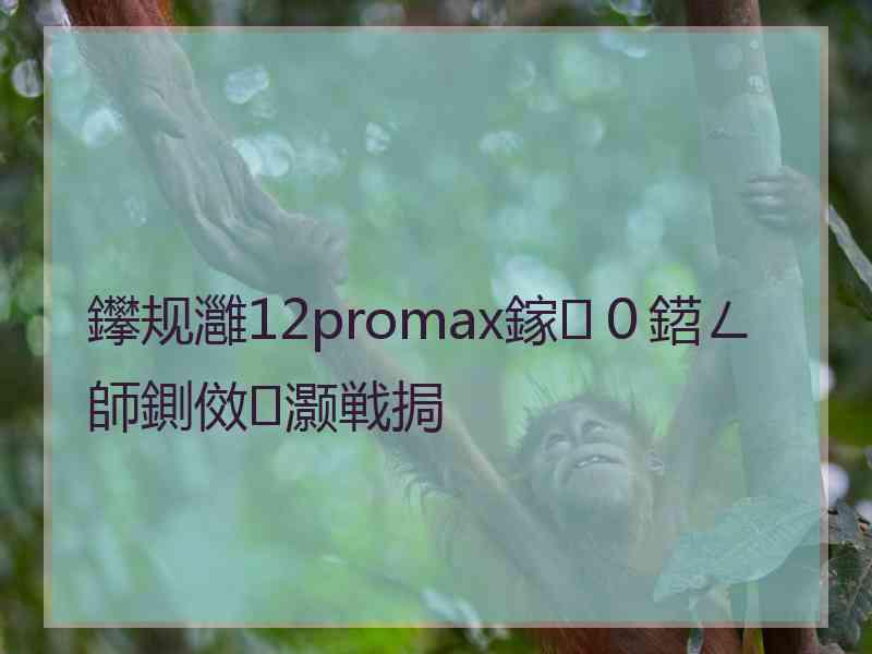 鑻规灉12promax鎵０鍣ㄥ師鍘傚灏戦挶