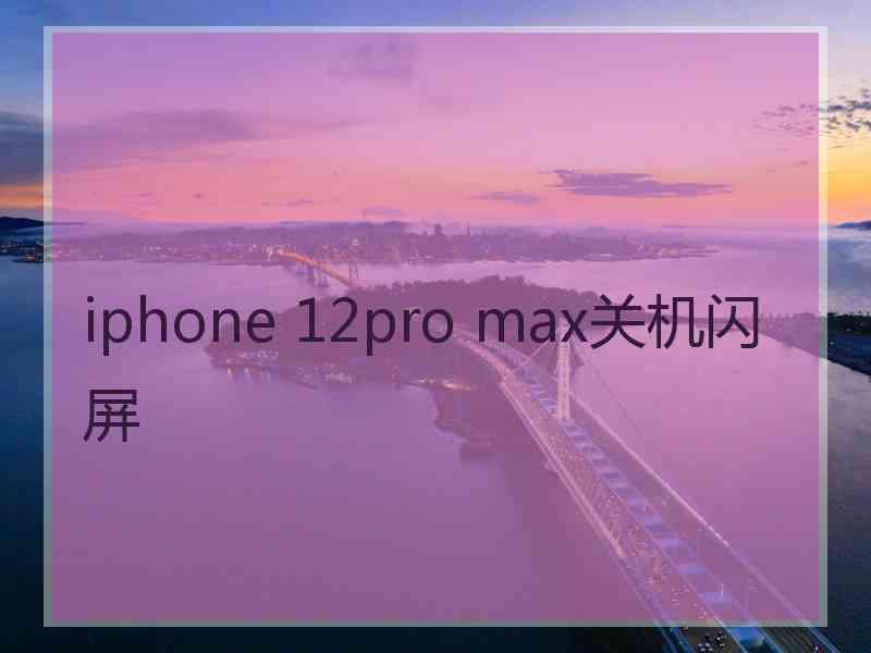 iphone 12pro max关机闪屏