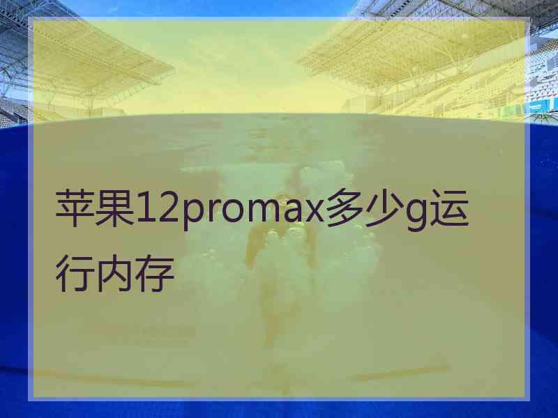 苹果12promax多少g运行内存