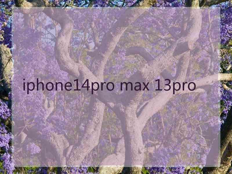 iphone14pro max 13pro