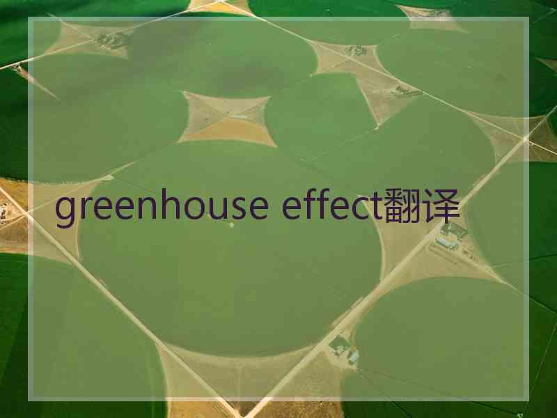 greenhouse effect翻译