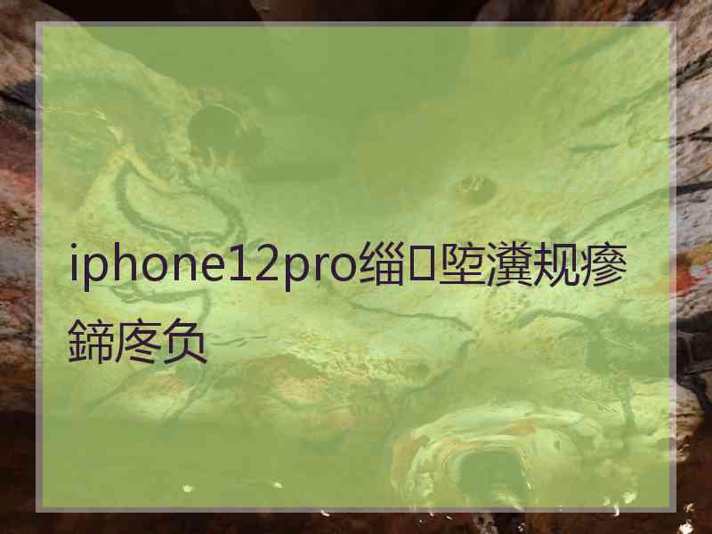 iphone12pro缁埅瀵规瘮鍗庝负