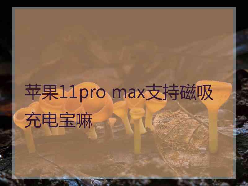 苹果11pro max支持磁吸充电宝嘛