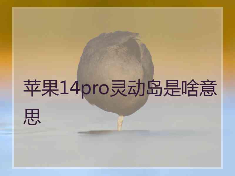 苹果14pro灵动岛是啥意思