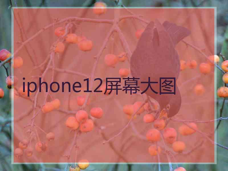 iphone12屏幕大图