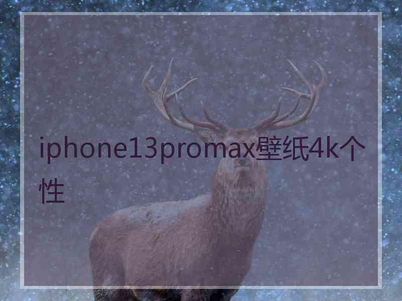 iphone13promax壁纸4k个性