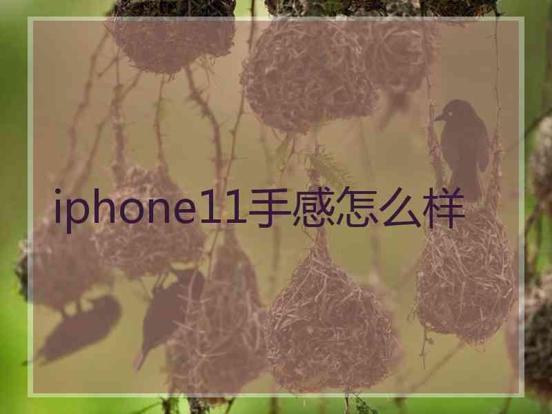 iphone11手感怎么样