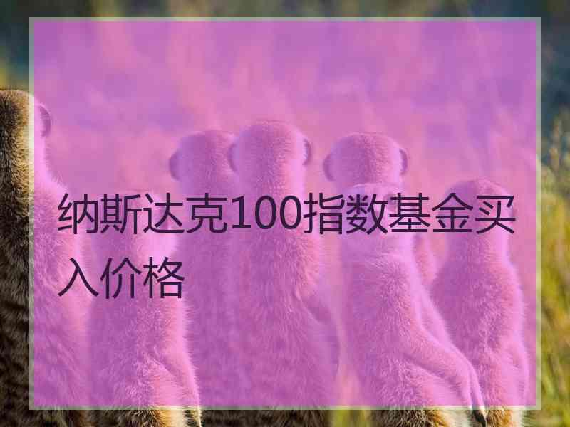 纳斯达克100指数基金买入价格