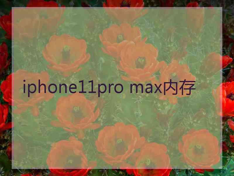 iphone11pro max内存