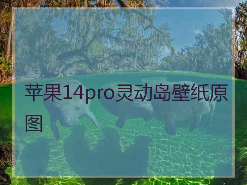 苹果14pro灵动岛壁纸原图