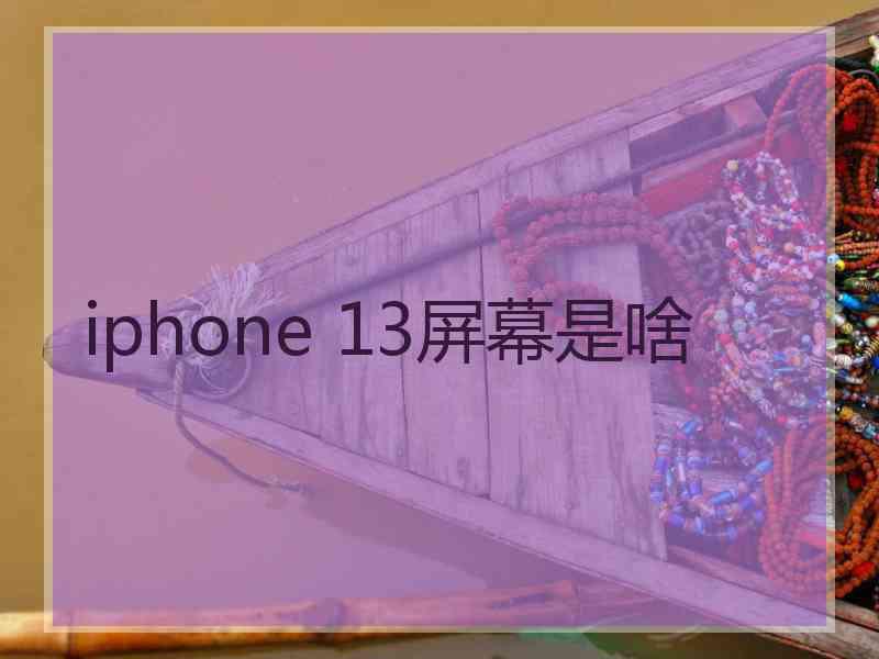 iphone 13屏幕是啥