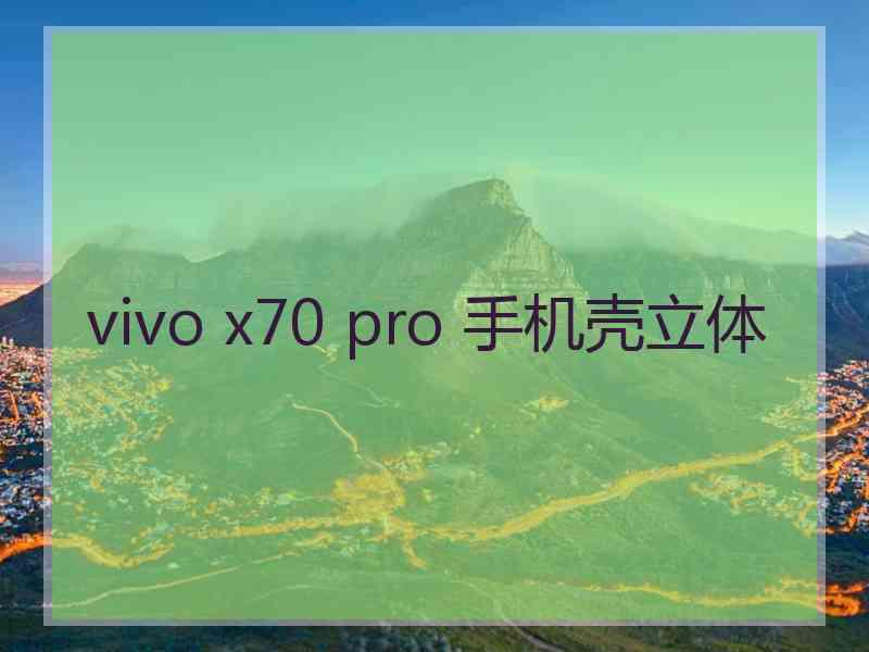 vivo x70 pro 手机壳立体