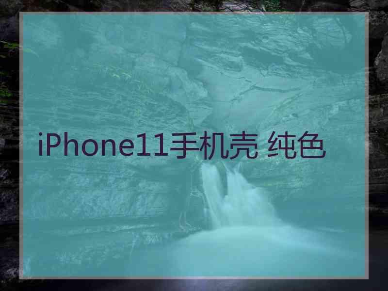 iPhone11手机壳 纯色