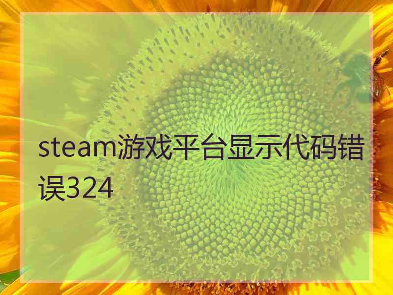 steam游戏平台显示代码错误324