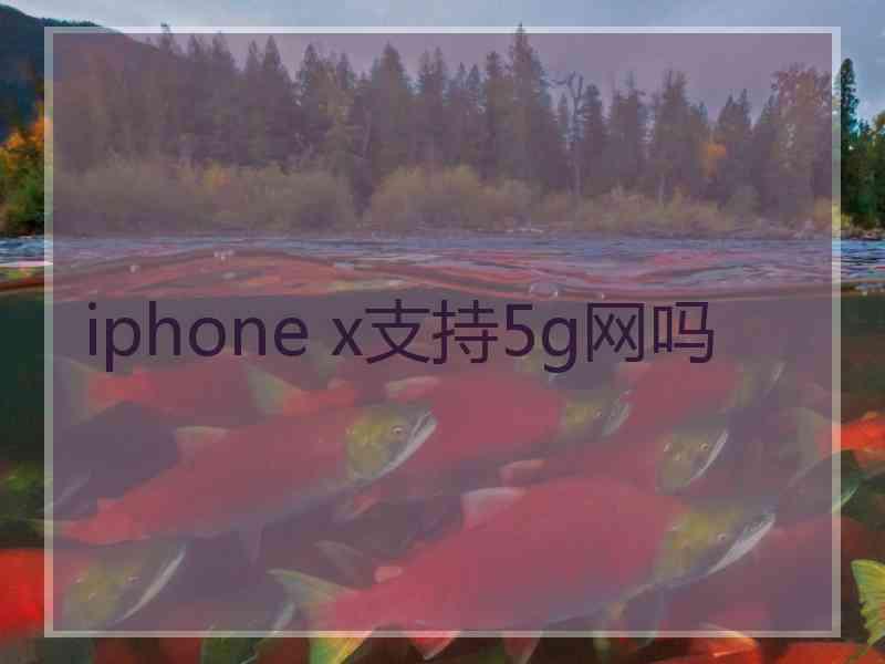 iphone x支持5g网吗