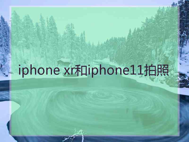 iphone xr和iphone11拍照