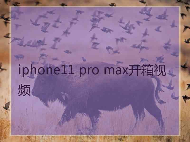 iphone11 pro max开箱视频