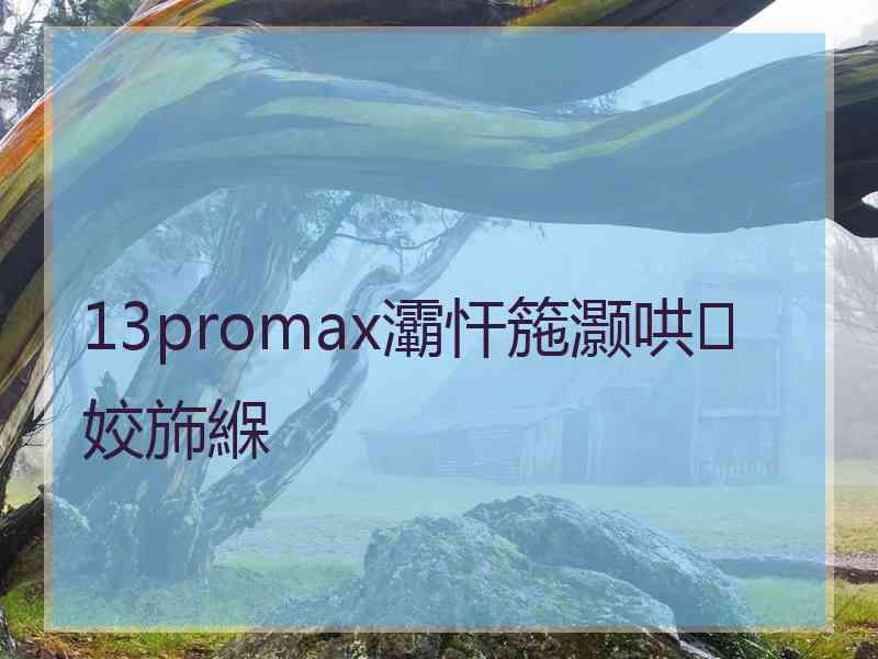 13promax灞忓箷灏哄姣斾緥