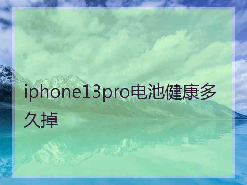 iphone13pro电池健康多久掉