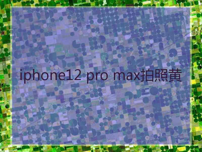 iphone12 pro max拍照黄