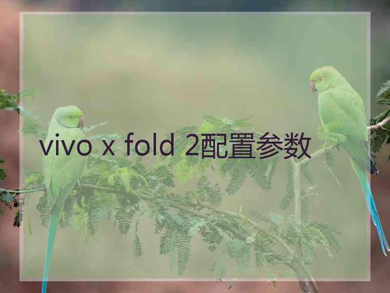 vivo x fold 2配置参数