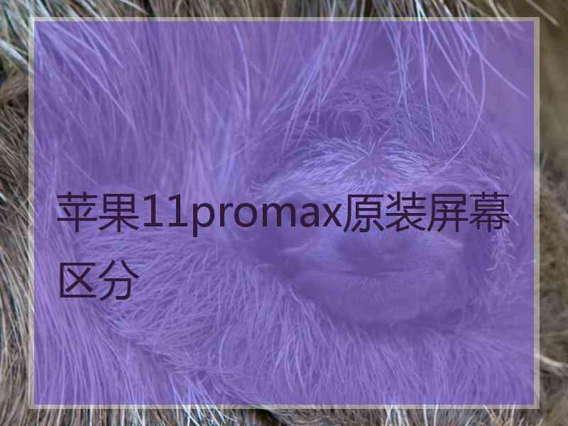 苹果11promax原装屏幕区分