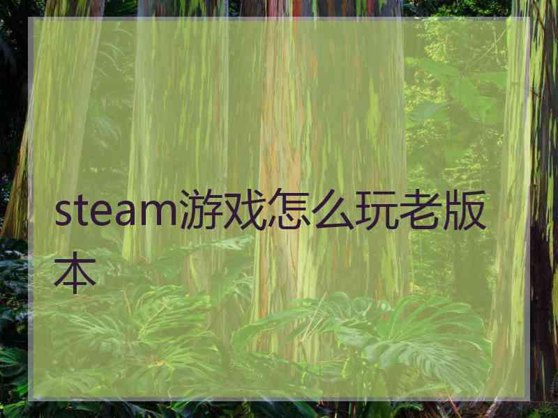 steam游戏怎么玩老版本