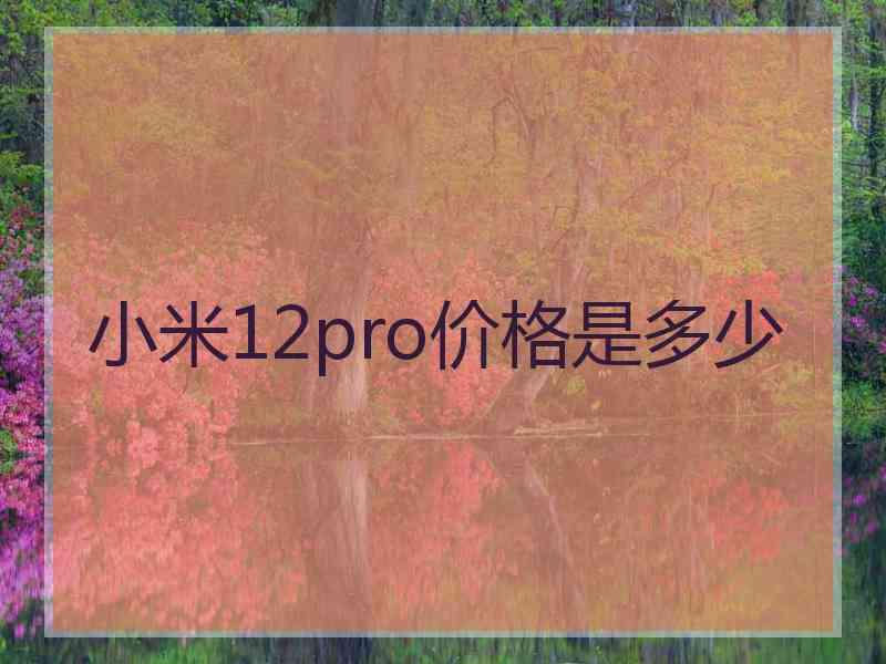 小米12pro价格是多少