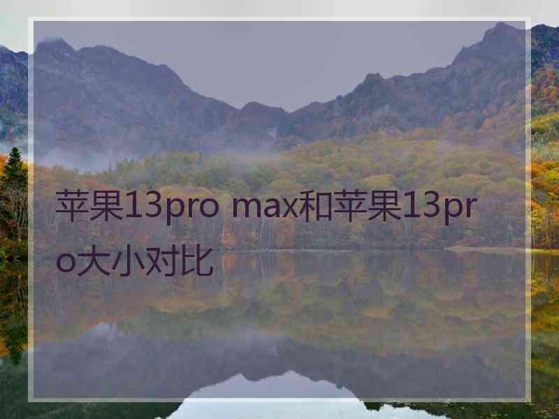 苹果13pro max和苹果13pro大小对比