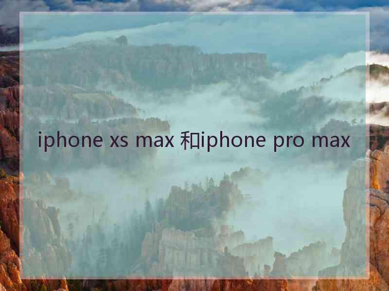 iphone xs max 和iphone pro max