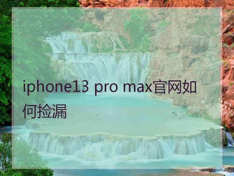 iphone13 pro max官网如何捡漏