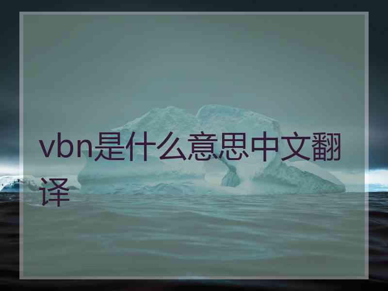 vbn是什么意思中文翻译