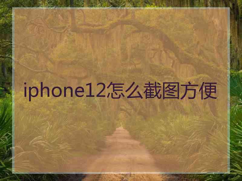 iphone12怎么截图方便