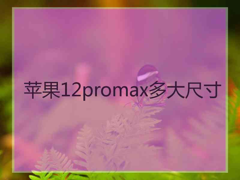 苹果12promax多大尺寸